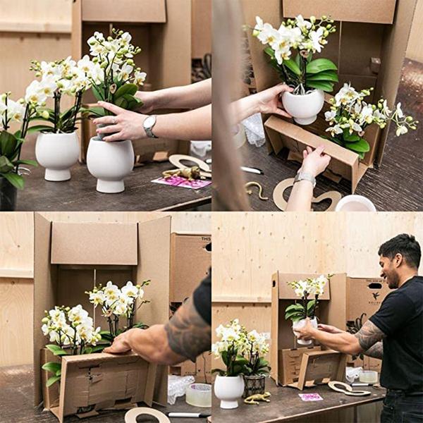 Kolibri Orchids | weißes Pflanzenset im Schilfkorb inkl. Wassertank | drei weiße Orchideen und drei Grünpflanzen | Feldstrauß weiß mit autarkem Wassertank