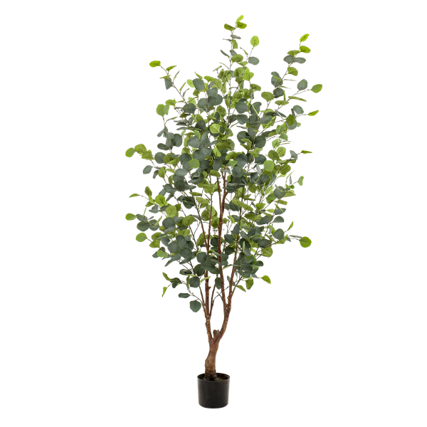 Kunstpflanze - Eucalyptusbaum - Blauer Gummibaum - 140 cm