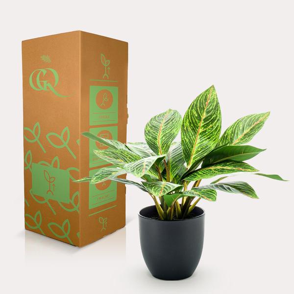 Kunstpflanze - Croton Codiaeum - Wunderstrauch - 38 cm