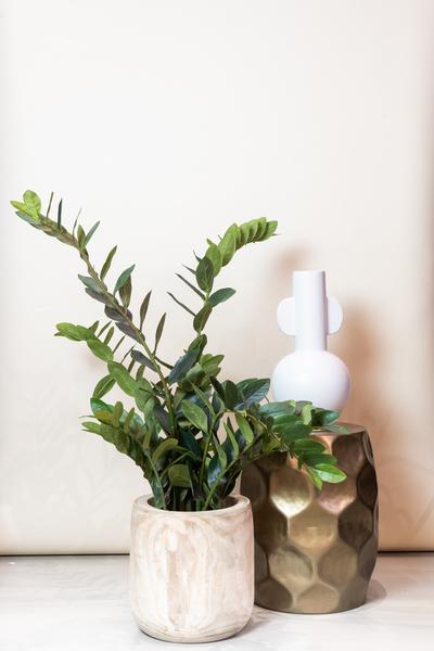 Kunstpflanze - Zamioculcas - Zimmerpalme - 110 cm