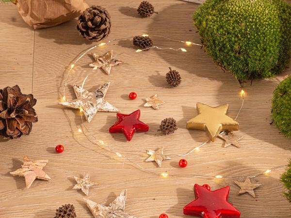 Planten terrarium pakket - Mini-kerstboom - 3 planten - Navulling & Startpakket - DIY Christmas